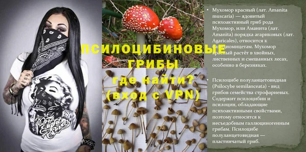 MESCALINE Карпинск