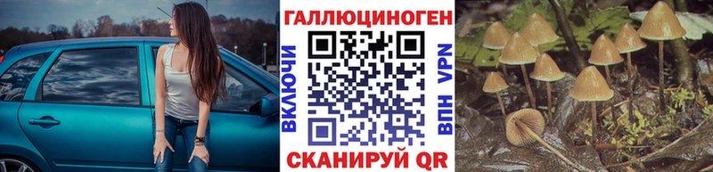 Купить закладки  Льгов  Псилоцибиновые грибы GOLDEN TEACHER 
